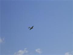 PICT1805.JPG